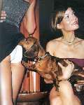688 photo